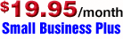 Small Business Plus Hosting Plan